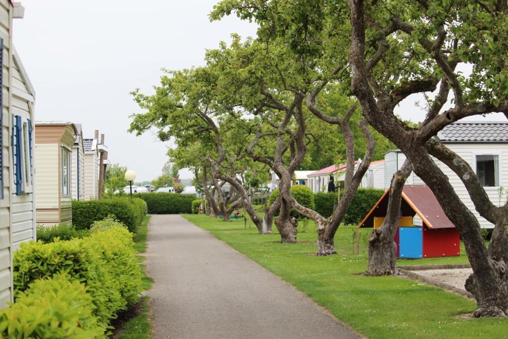 Siblu Camping In De Bongerd Oostkapelle Exteriér fotografie